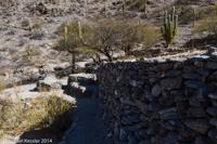 © Copyright - Raphael Kessler 2014 - Argentina - Qulmes