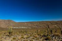 © Copyright - Raphael Kessler 2014 - Argentina - Tafi del Valle