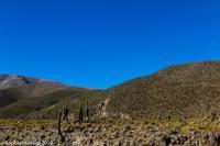 © Copyright - Raphael Kessler 2014 - Argentina - Tafi del Valle