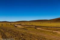 © Copyright - Raphael Kessler 2014 - Bolivia - Salar Tour Day 1