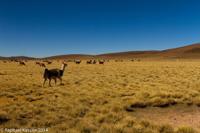© Copyright - Raphael Kessler 2014 - Bolivia - Salar Tour Day 1