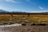 © Copyright - Raphael Kessler 2014 - Bolivia - Salar Tour Day 2