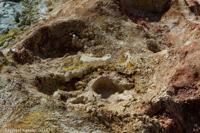 © Copyright - Raphael Kessler 2014 - Bolivia - Salar Tour Day 2