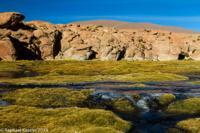 © Copyright - Raphael Kessler 2014 - Bolivia - Salar Tour Day 2