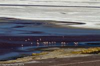 © Copyright - Raphael Kessler 2014 - Bolivia - Salar Tour Day 2