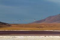 © Copyright - Raphael Kessler 2014 - Bolivia - Salar Tour Day 2