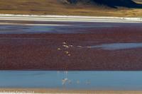 © Copyright - Raphael Kessler 2014 - Bolivia - Salar Tour Day 2