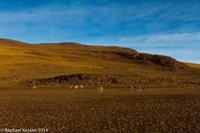 © Copyright - Raphael Kessler 2014 - Bolivia - Salar Tour Day 3