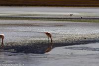 © Copyright - Raphael Kessler 2014 - Bolivia - Salar Tour Day 3