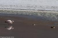 © Copyright - Raphael Kessler 2014 - Bolivia - Salar Tour Day 3