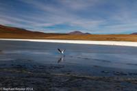 © Copyright - Raphael Kessler 2014 - Bolivia - Salar Tour Day 3