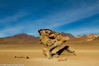 © Copyright - Raphael Kessler 2014 - Bolivia - Salar Tour Day 3