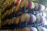 © Copyright - Raphael Kessler 2014 - Chile - Santa Cruz - La Postolle vineyard