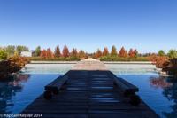 © Copyright - Raphael Kessler 2014 - Chile - Santa Cruz - Montes vineyard