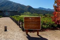 © Copyright - Raphael Kessler 2014 - Chile - Santa Cruz - Montes vineyard