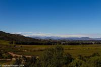 © Copyright - Raphael Kessler 2014 - Chile - Santa Cruz - La Postolle vineyard