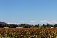 © Copyright - Raphael Kessler 2014 - Chile - Santa Cruz