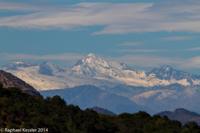 © Copyright - Raphael Kessler 2014 - Chile - Santa Cruz - La Postolle vineyard