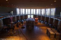 © Copyright - Raphael Kessler 2014 - Chile - Santa Cruz - La Postolle vineyard