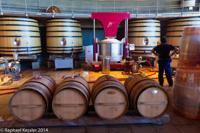 © Copyright - Raphael Kessler 2014 - Chile - Santa Cruz - La Postolle vineyard