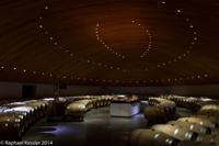 © Copyright - Raphael Kessler 2014 - Chile - Santa Cruz - La Postolle vineyard