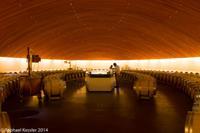 © Copyright - Raphael Kessler 2014 - Chile - Santa Cruz - La Postolle vineyard