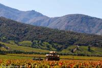 © Copyright - Raphael Kessler 2014 - Chile - Santa Cruz