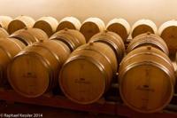 © Copyright - Raphael Kessler 2014 - Chile - Santa Cruz - La Postolle vineyard