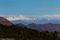 © Copyright - Raphael Kessler 2014 - Chile - Santa Cruz - La Postolle vineyard