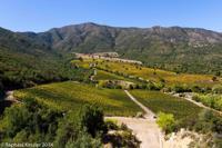 © Copyright - Raphael Kessler 2014 - Chile - Santa Cruz - La Postolle vineyard