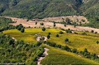 © Copyright - Raphael Kessler 2014 - Chile - Santa Cruz - La Postolle vineyard