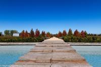 © Copyright - Raphael Kessler 2014 - Chile - Santa Cruz - Montes vineyard