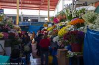 © Copyright - Raphael Kessler 2014 - Peru - Arequipa - Market - Flowers
