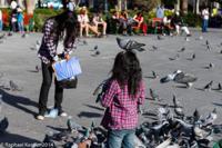 © Copyright - Raphael Kessler 2014 - Peru - Arequipa Plaza de Armas - Pigeon on head