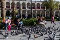 © Copyright - Raphael Kessler 2014 - Peru - Arequipa Plaza de Armas - Girl & Pigeons