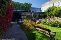 © Copyright - Raphael Kessler 2014 - Peru - Arequipa - Casa de Melgar - Garden