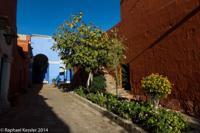 © Copyright - Raphael Kessler 2014 - Peru - Arequipa - Santa Catalina Convent
