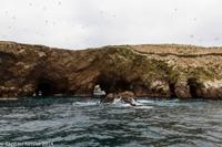 © Copyright - Raphael Kessler 2014 - Peru - Paracas - Ballestas Islands birds and arches