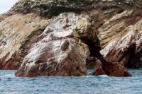 © Copyright - Raphael Kessler 2014 - Peru - Paracas - Ballestas Islands - Rock