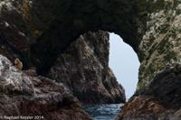 © Copyright - Raphael Kessler 2014 - Peru - Paracas - Ballestas Islands - Fur Seal 10