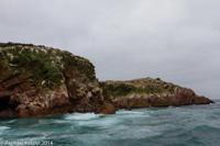 © Copyright - Raphael Kessler 2014 - Peru - Paracas - Ballestas Islands