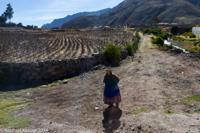 © Copyright - Raphael Kessler 2014 - Peru - Cabanaconde - old lady