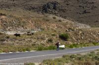 © Copyright - Raphael Kessler 2014 - Peru - Cabanaconde - off to check the cows