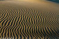 © Copyright - Raphael Kessler 2014 - Peru - Huacachina - Sand