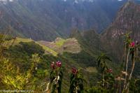 © Copyright - Raphael Kessler 2014 - Peru - Machu Picchu from the sun gate