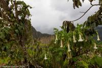 © Copyright - Raphael Kessler 2014 - Peru - Machu Picchu