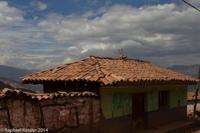 © Copyright - Raphael Kessler 2014 - Peru - Train view - house with bulls