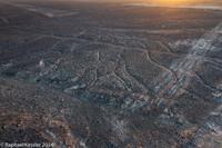 © Copyright - Raphael Kessler 2014 - Peru - Nasca - tree