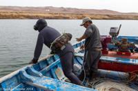 © Copyright - Raphael Kessler 2014 - Peru - Paracas - diving for scallops