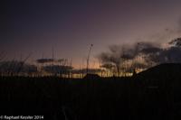 © Copyright - Raphael Kessler 2014 - Peru - Puno - Totoro reed raft (uros)